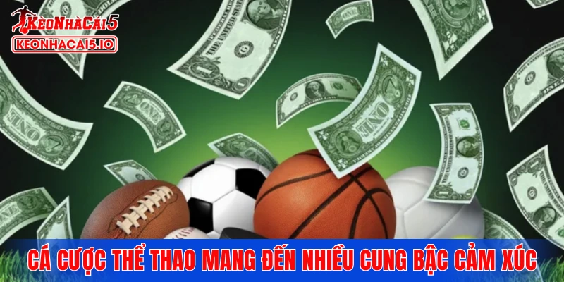 Cá cược thể thao mang đến nhiều cung bậc cảm xúc thăng hoa