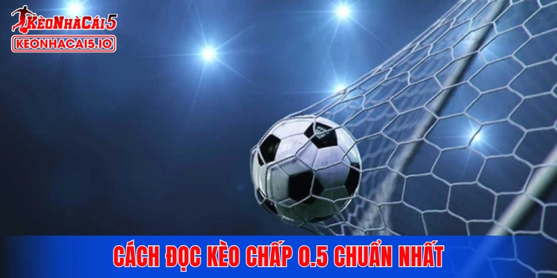 Cách đọc kèo chấp 0.5 chuẩn nhất