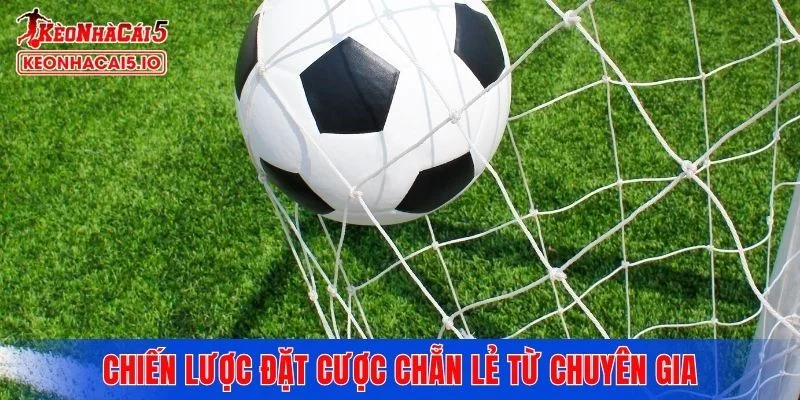 Chiến lược đặt cược chẵn lẻ từ chuyên gia