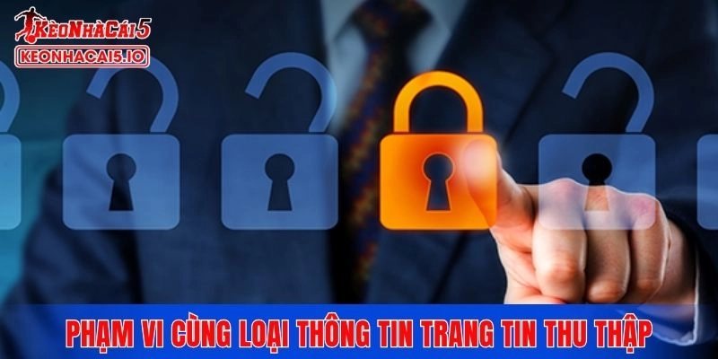 Phạm vi cùng loại thông tin trang tin thu thập