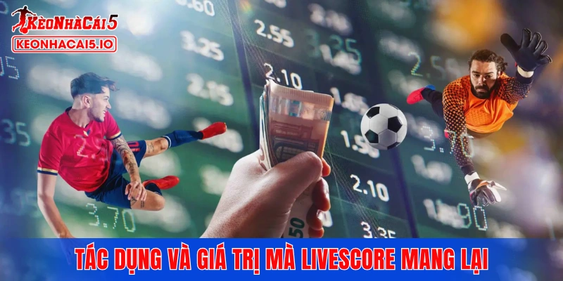 Tác dụng và giá trị mà Livescore mang lại cho người hâm mộ
