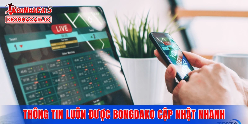 Thông tin bóng đá luôn được Bongdako cập nhật nhanh chóng