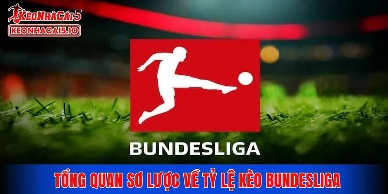 Tổng quan sơ lược về tỷ lệ kèo Bundesliga